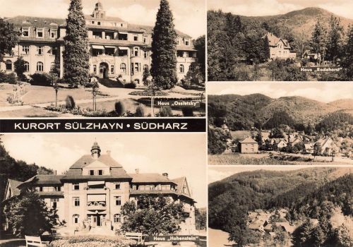 AK DDR Sülzhayn Kurort Haus Hohenstein Ossibetzky Rodehorst Thüringen Südharz