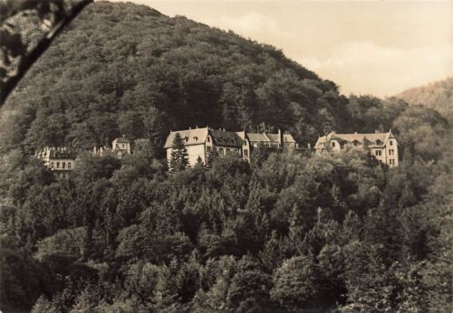 AK DDR Sülzhayn Kurort Am Steierberg Thüringen Südharz