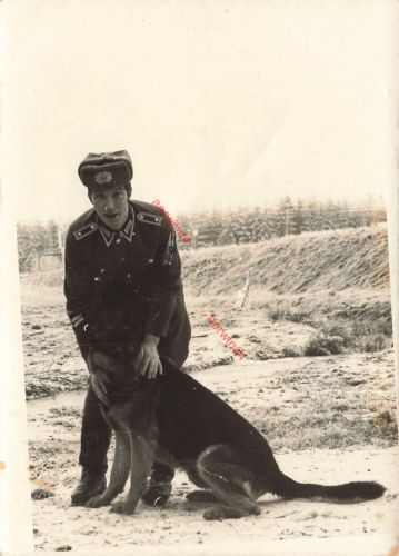 DDR NVA GT Foto Portrait Unteroffizier Feldwebel mit Schäferhund Grenztruppen