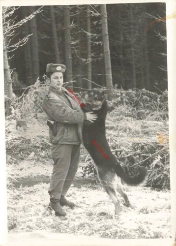 DDR NVA GT Foto Portrait Unteroffizier Feldwebel mit Schäferhund Grenztruppen