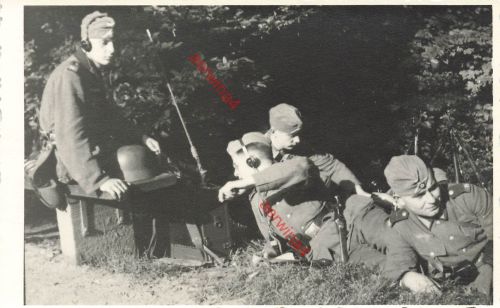 Deutsche Soldaten Rgt. 14 Funker an Tornister Funkanlage Stahlhelm Großfoto
