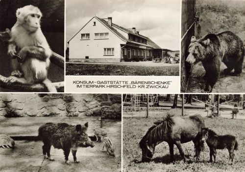 DDR AK Hirschfeld Konsum Gaststätte Bärenschänke Tierpark Affe Bär Sachsen