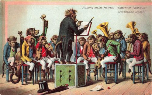 AK Vermenschlichte Tiere Schimpansen Orchester Monkeys Achtung meine Herren!