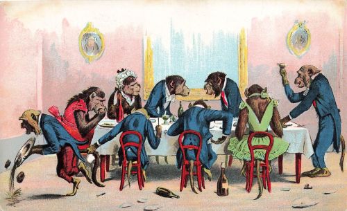 AK Vermenschlichte Tiere Schimpansen Monkeys Essen am Tisch Postkarte