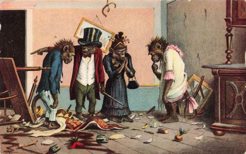 AK Vermenschlichte Tiere Verwüstete Wohnung Schimpansen Monkeys Anthropomorph