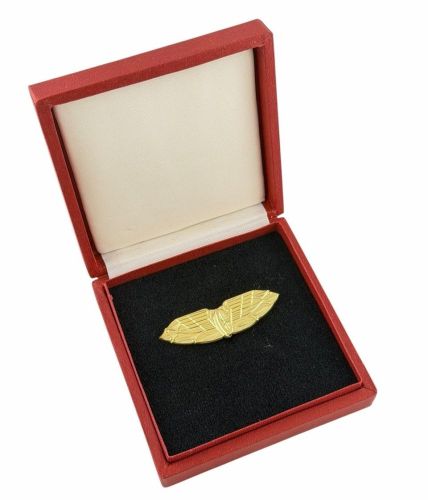 DDR Reichsbahn Ehrenspange Medaille treue Dienste bei der Deutschen Reichsbahn