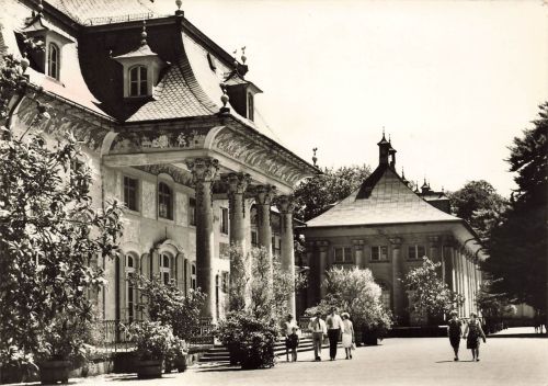 AK DDR Dresden Schloss Pillnitz Sachsen Postkarte