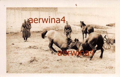 Gebirgsjäger mit Pferden Rast beim Rückmarsch Großfoto
