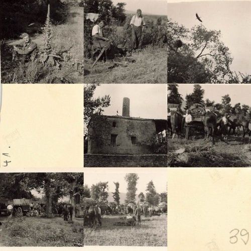7 x Fotos deutsche Soldaten 164 JD. auf den Marsch nach Naoussa Griechenland