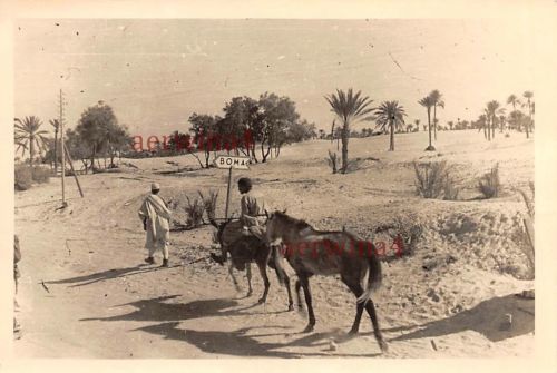 Araber mit Maultier am Wegweiser Boma Tunesien Afrika