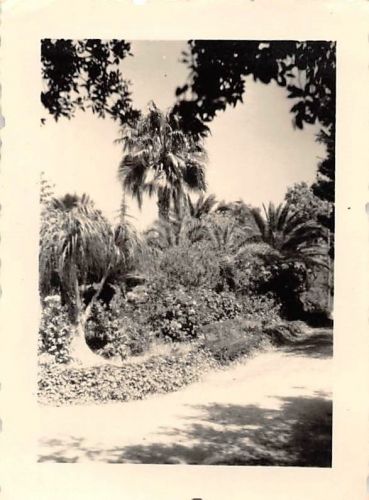 Stadtgarten von Messina Italien