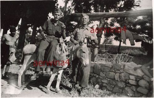 Deutsche Soldaten mit Maultier Esel bei Patras Griechenland
