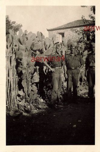 Deutsche Soldaten an Kakteen bei Patras Griechenland