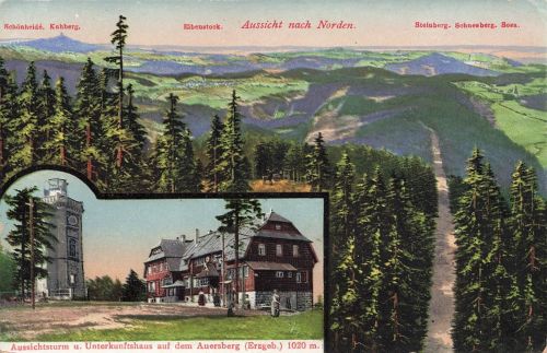 AK Eibenstock Aussichtsturm Unterkunftshaus Sachsen Erzgebirge Postkarte