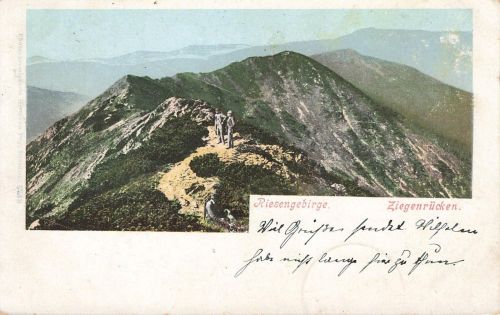 AK Spindlermühl Ziegenrücken Schlesien Riesengebirge 1901 gelaufen Postkarte