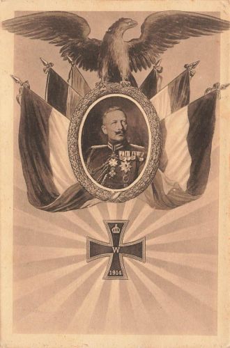 AK 1.WK Portrait Wilhelm II. EK2 Adler 1916 gelaufen Patriotika Postkarte