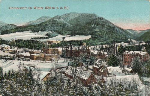 AK Görbersdorf Sokołowsko Stadtansicht Winter Schlesien ungelaufen Postkarte