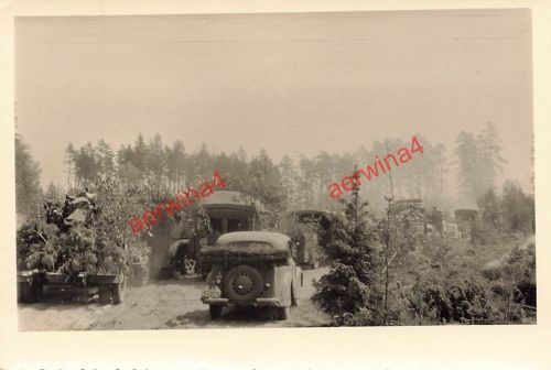 Vormarsch deutsche Wehrmachsfahrzeuge mit Divisionzeichen Russland Ostfront