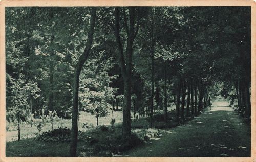 AK Müglitz Mohelnice Stadtpark Mähren gelaufen Postkarte