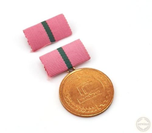 DDR Medaille hervorragende Leistungen Lebensmittel Nahrungsindustrie Bartel 263c