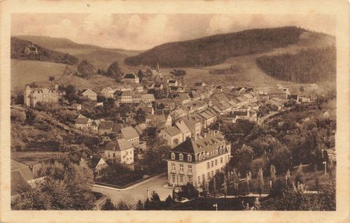 AK Bad Gottleuba Stadtansicht Sachsen 1925 gelaufen Postkarte