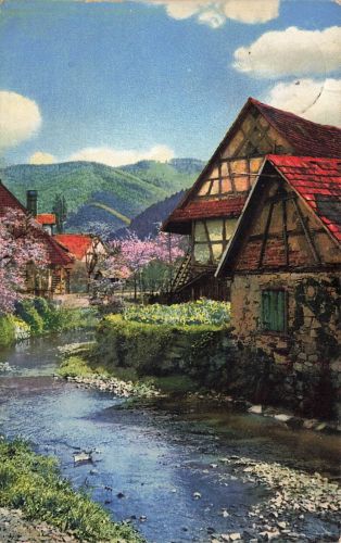 Schwarzwald Steinach Baden-Württemberg Photochromie Nr. 2991 Postkarte AK 1915