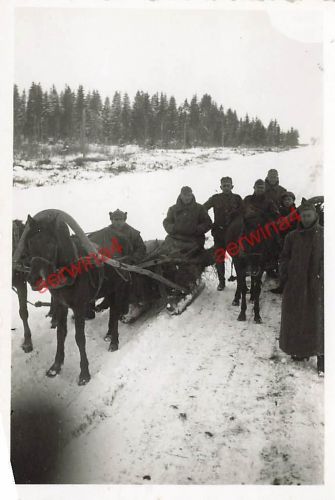 Deutsche Soldaten mit gefangenen Russen Schlittenfahrt bei Belarus Ostfront