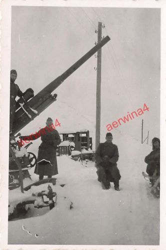 Deutsche Soldaten an russischem Flak M1939 bei Gorki Belarus Ostfront