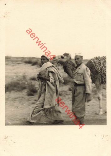 Araber mit Kamel in der Wüste bei Tripolis Libyen Afrika