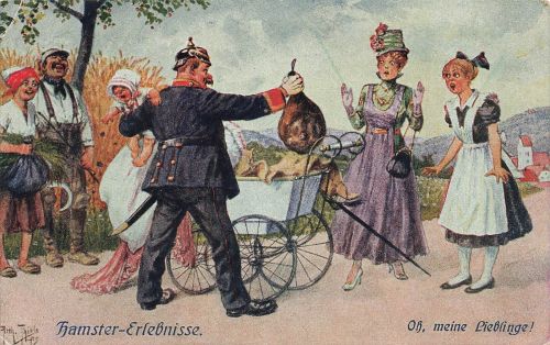 AK 1.WK Hamster Erlebnisse Oh meine Lieblinge Arthur Thiele 1918 Patriotika