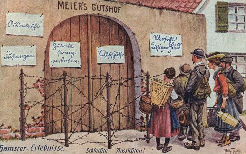 AK 1.WK Hamster Erlebnisse Schlechte Aussichten Arthur Thiele 1918 Patriotika