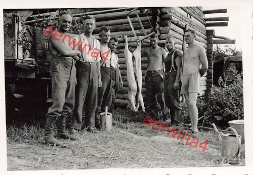 nackte Soldaten beim Schwein schlachten bei Polozk Weißrussland Ostfront