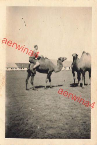 Deutscher Soldat beim Kamel reiten Kalmückensteppe Russland Ostfront