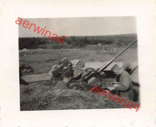 3,7 cm Flak im Erdloch Flugzeugabwehr bei Mga Leningrad Front Ostfront