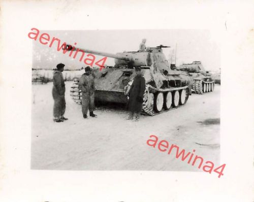 Deutscher Panzer V Panther im Wintertarnanstrich bei Mga Leningrad Front Ostf.