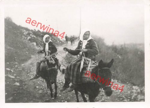 Bulgarische Dorfschönheiten auf Maultier in Tschepelare Bulgarien