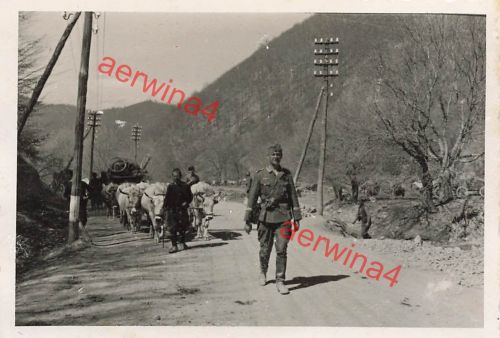 Marsch deutscher Soldat mit serbischen Ochsengespann nach Pristina Jugoslawien