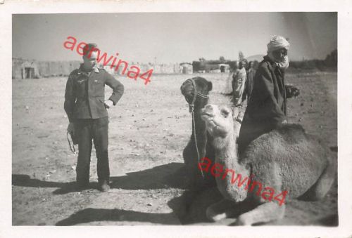 Deutscher Pilot mit Kamel am Fort Benina Flugplatz Bengasi Libyen