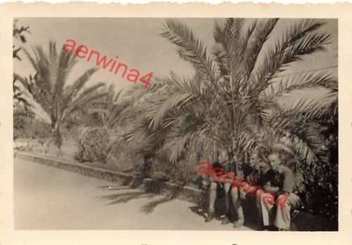 Deutsche Soldaten unter Palmen in Rodos Griechenland