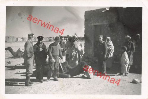 Deutsche Piloten mit Kamel am Fort Benina am Flugplatz Bengasi Libyen Afrika