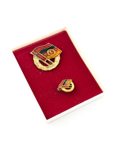 DDR GDSF Ehrennadel und Miniaturnadel in Gold