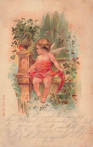 AK Puttenmotiv Engel mit Schmetterlingen Blumen 1902 Postkarte geprägt