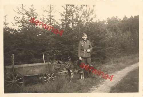 Deutscher Soldat mit Hundegespann im Einsatz