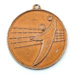 DDR DSVB Medaille Bezirksmeister Karl-Marx-Stadt Bronze Volleyball