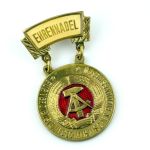 DDR Ehrennadel für Verdienste im sozialistischen Bildungswesen