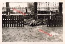Deutsche Heldengräber in Odessa Ukraine Ostfront