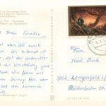 AK DDR Waldenburg Eichenallee Schloss Rathaus Park Sachsen 1975 Postkarte