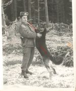 DDR NVA GT Foto Portrait Unteroffizier Feldwebel mit Schäferhund Grenztruppen
