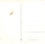 DDR AK Werdau Rathaus Sachsen Postkarte