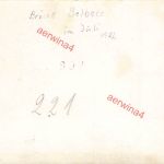 Deutsche Pioniere Belbek Brückenbau Bachtschyssaraj Krim Ukraine Ostfront 1942